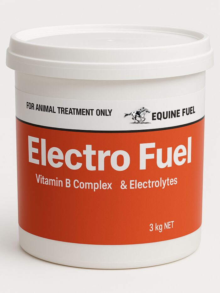 Electro Fuel